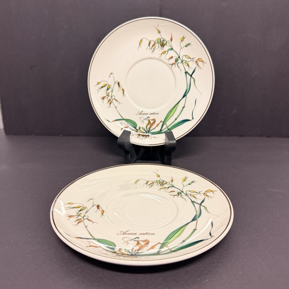 Villeroy & Boch Botanica SAUCER for Cup Avena Sativa 6.5" dia. Set of 2
